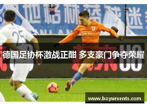 德国足协杯激战正酣 多支豪门争夺荣耀